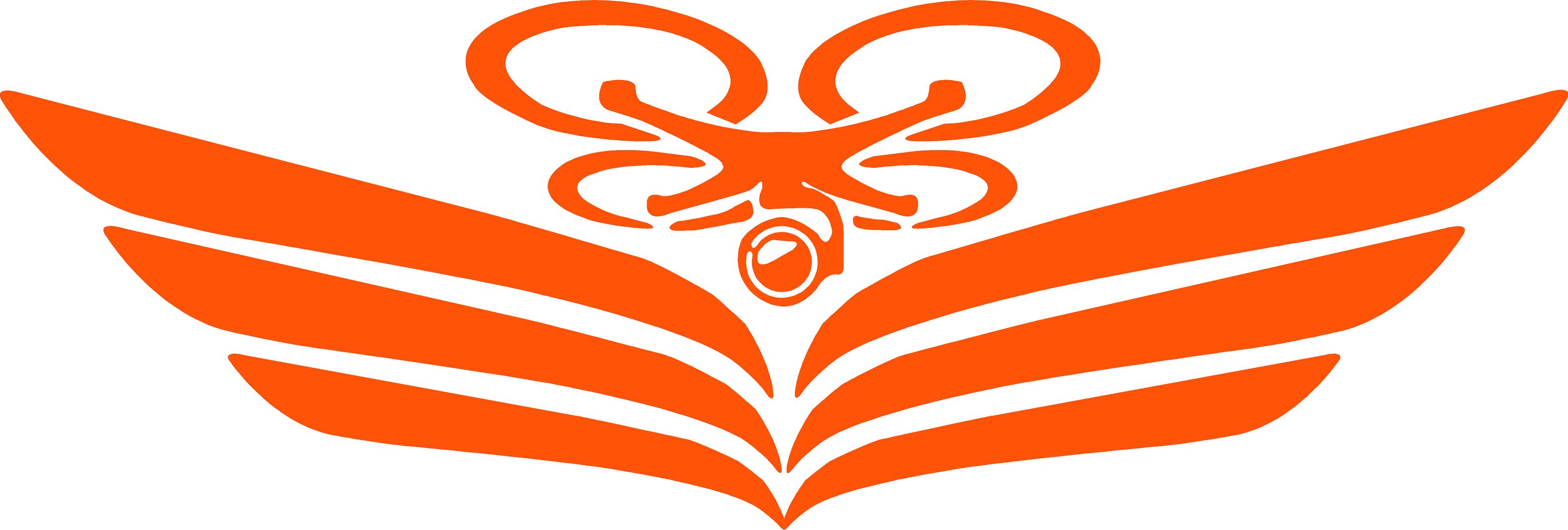 Net-Aviation Logo